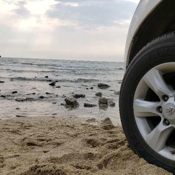 醉咖啡☕️·骆驼🐷