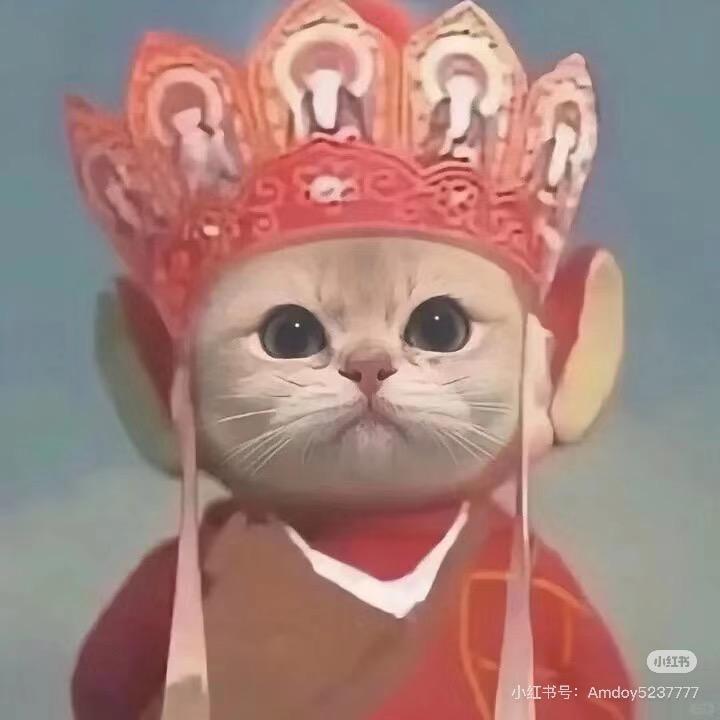 小酥🐟