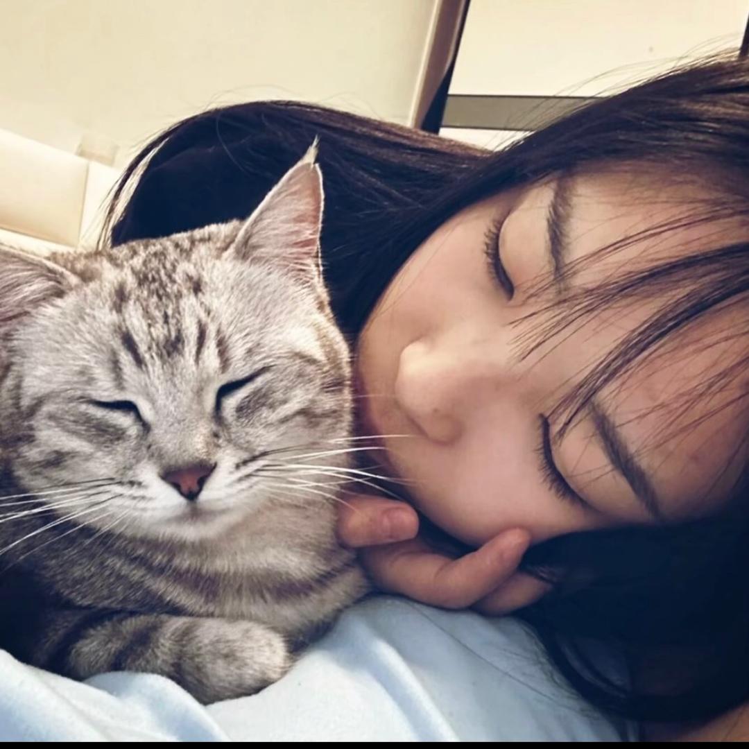 帆帆