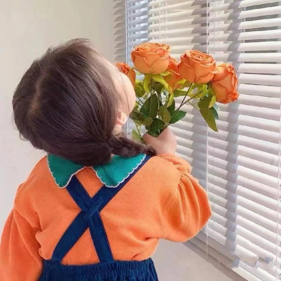 花生了什么树🌵