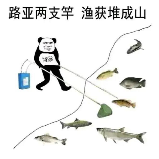 青棠（俄钓版）