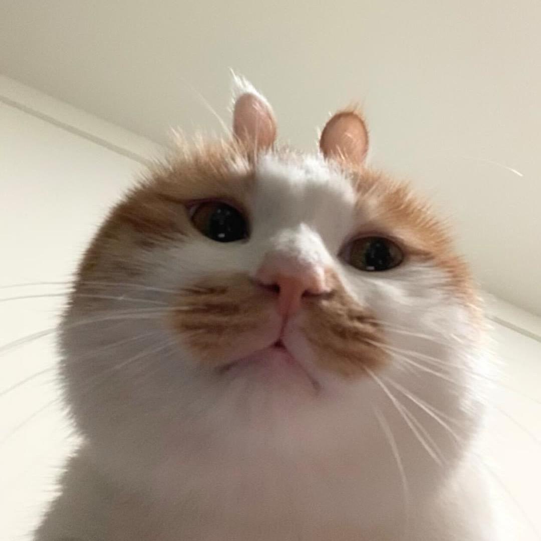权衡利弊