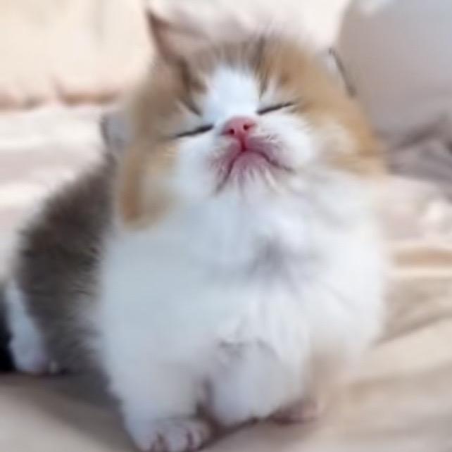 凯泽一站式百货铺