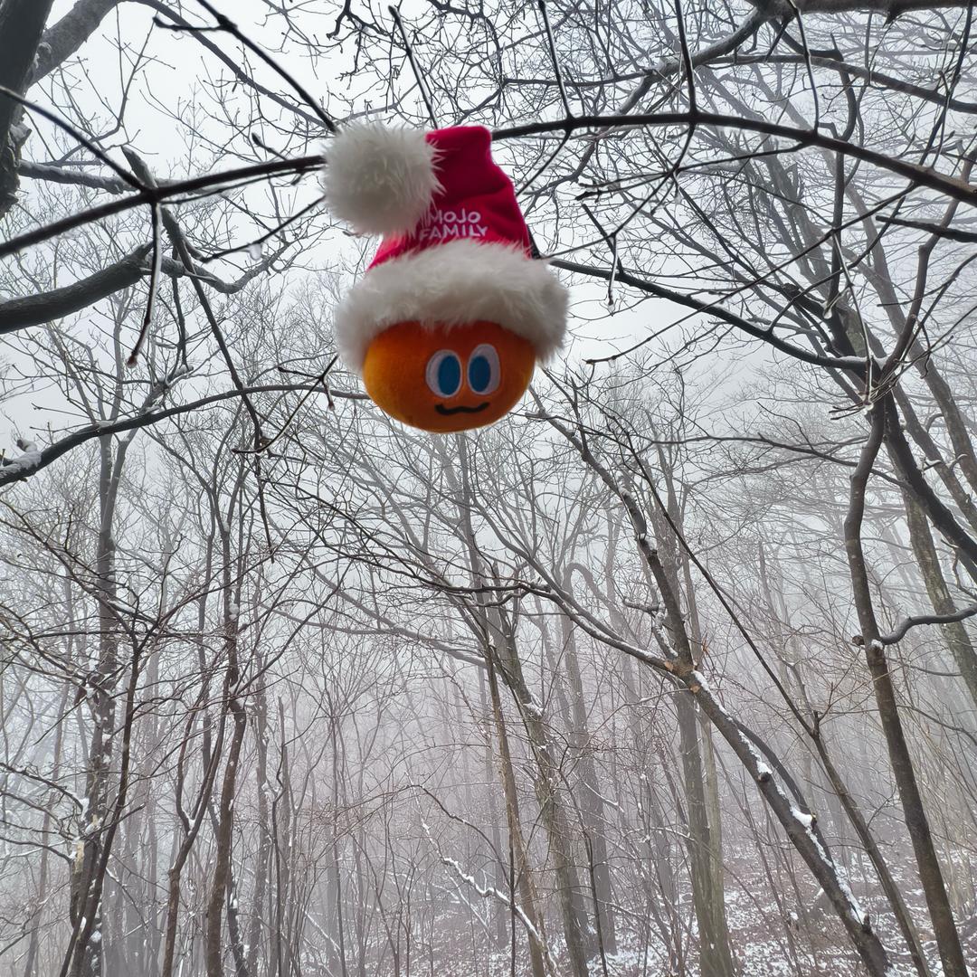 弈哥爱🎣的WMLS🥕