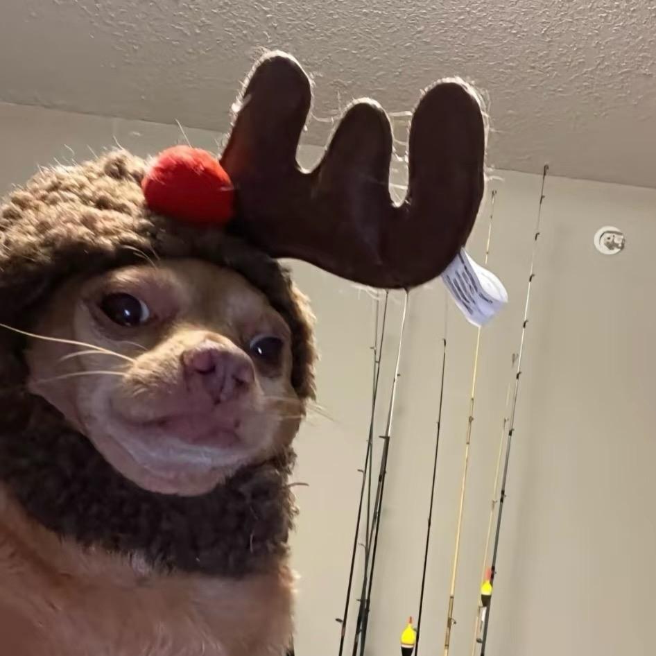 她说我比小狗听话