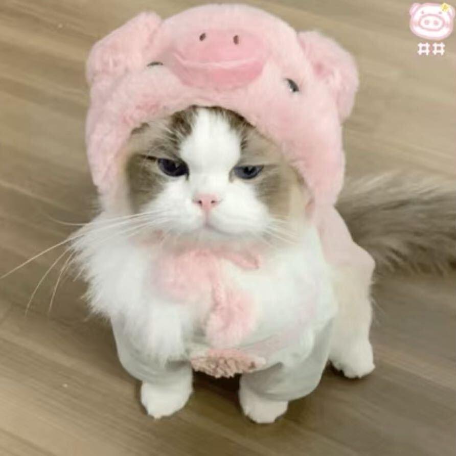 本少