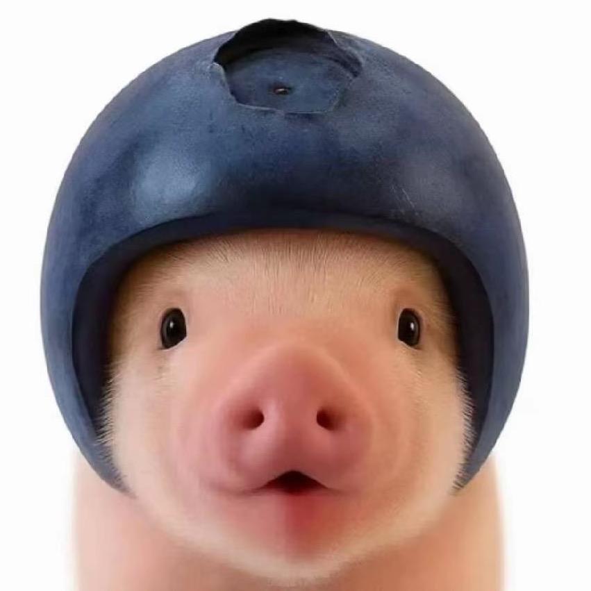 小衡小王