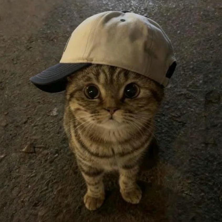 我要回家找妈妈.