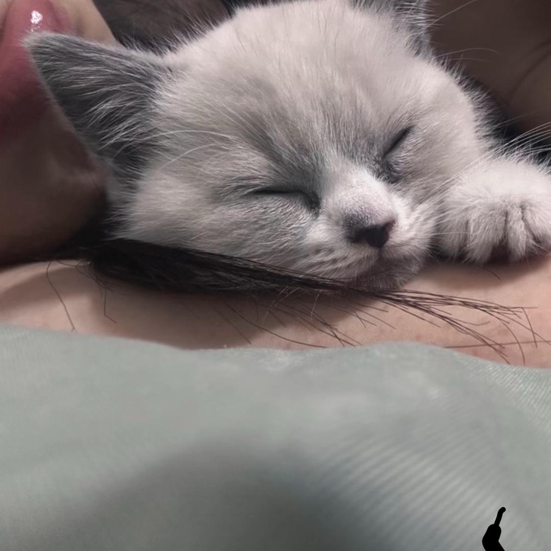 丁涵.