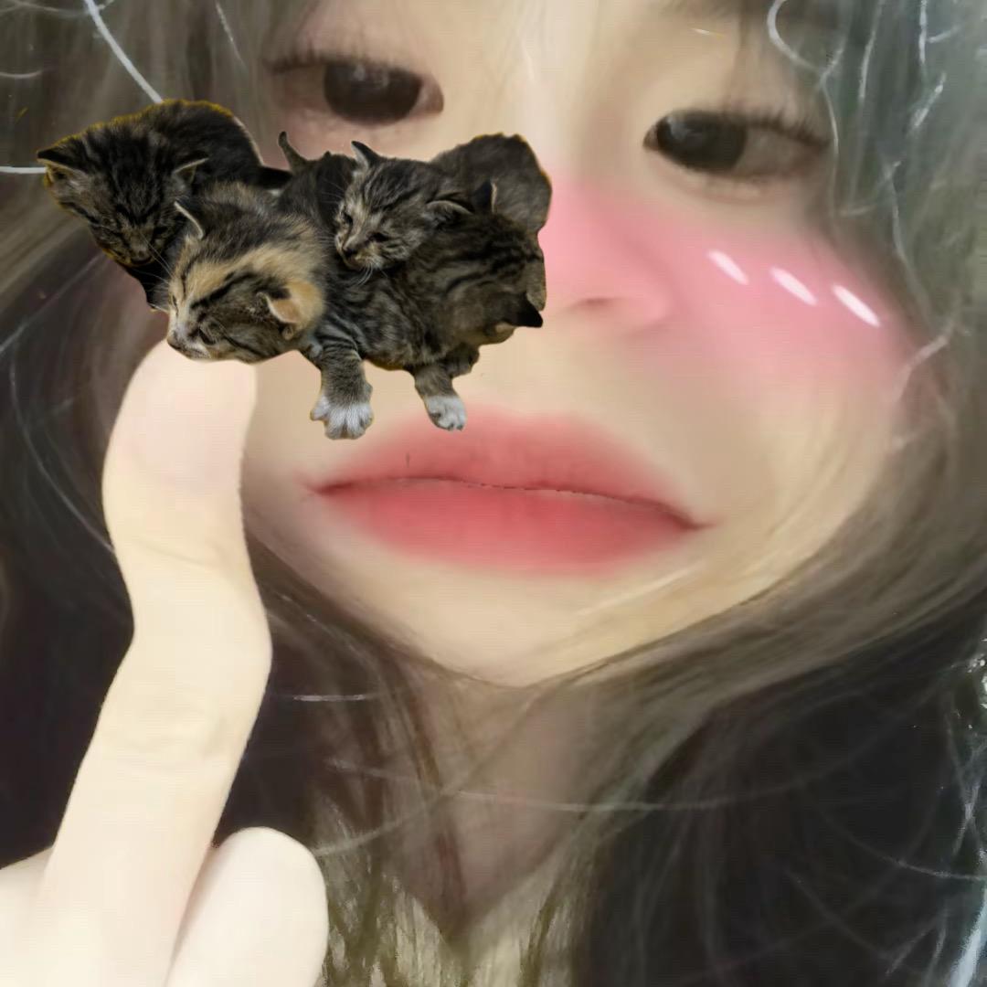 众所周知名字越长越有傻孩子念