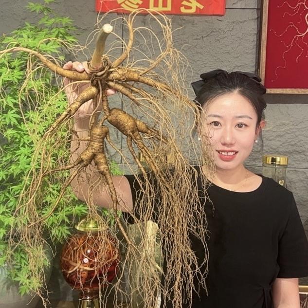 倩倩林下参