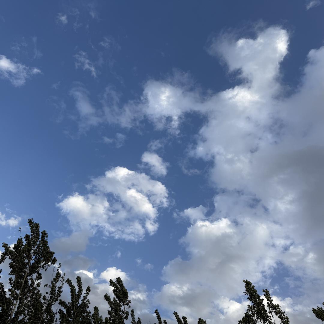 风姿农产品小店