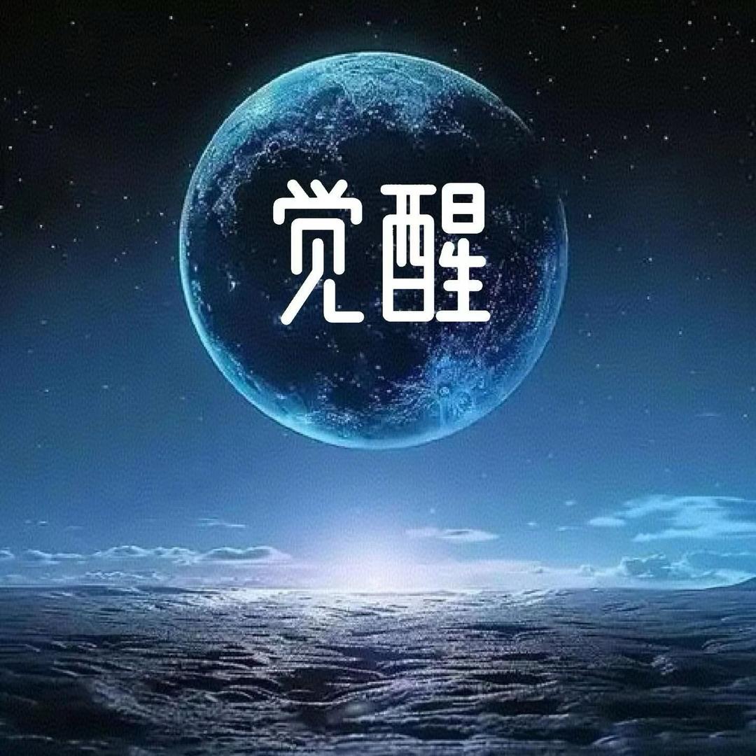 麦子讲真话