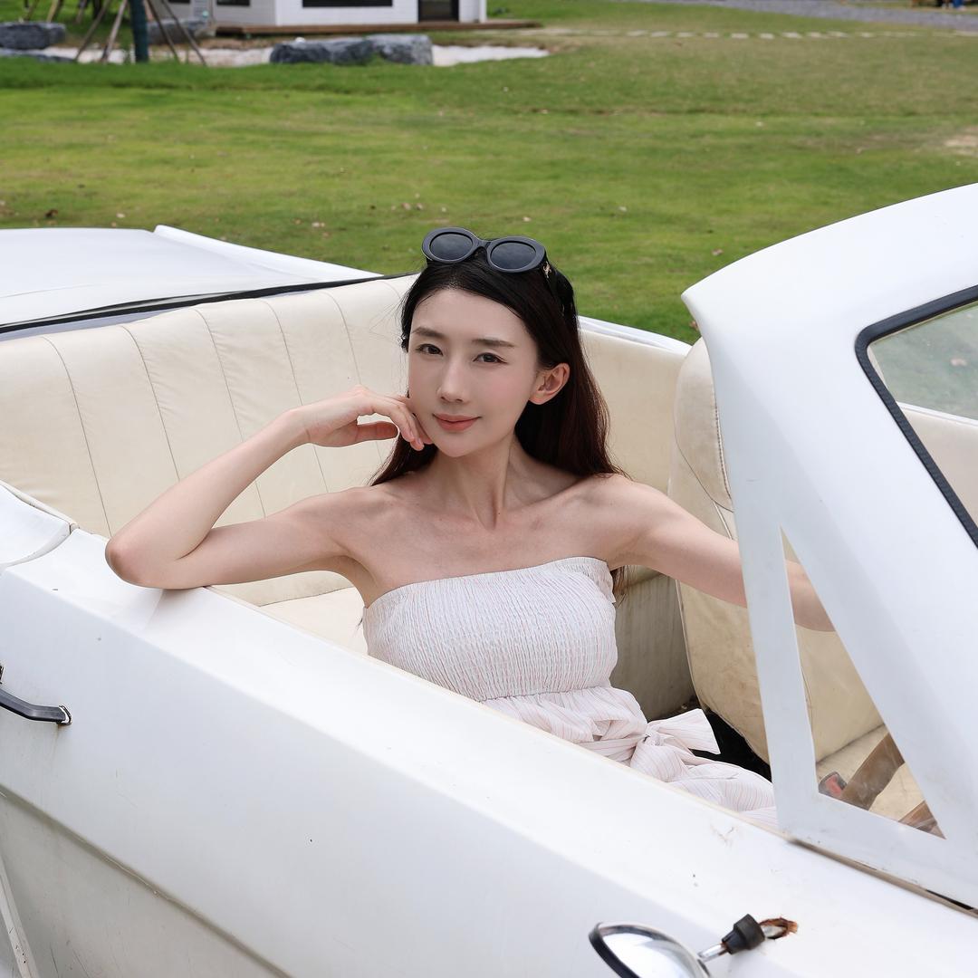 乌梅子酱🚙（说车版）