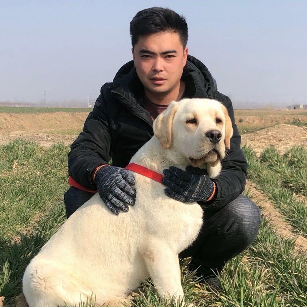 养狗狗的（赵弟）