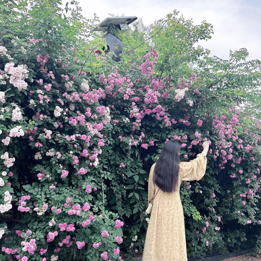 人生若只如初见