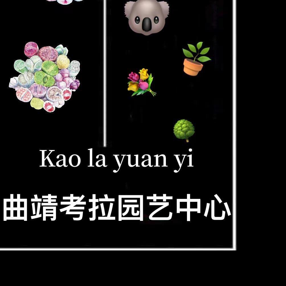 曲靖考拉园艺中心