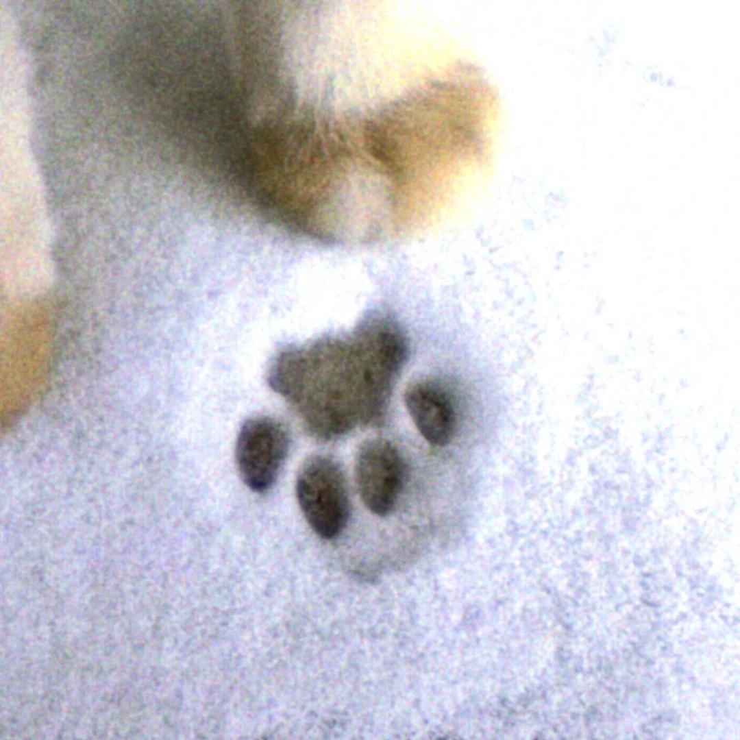 讨厌土豆🥔‼️