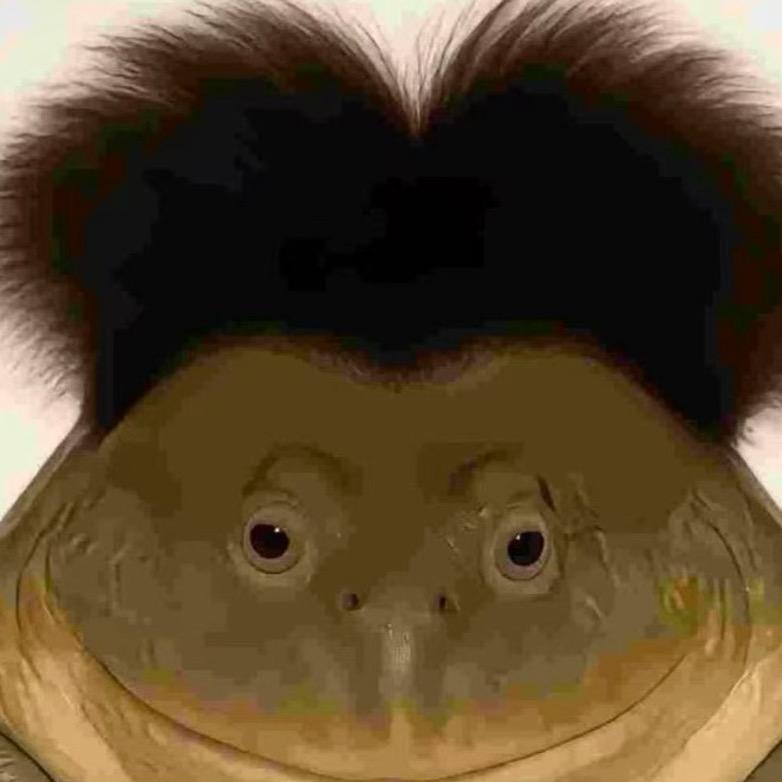 攀枝花后街的蛤蟆