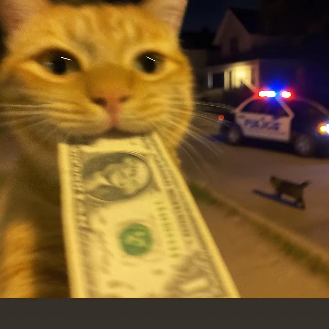 不过不眠夜