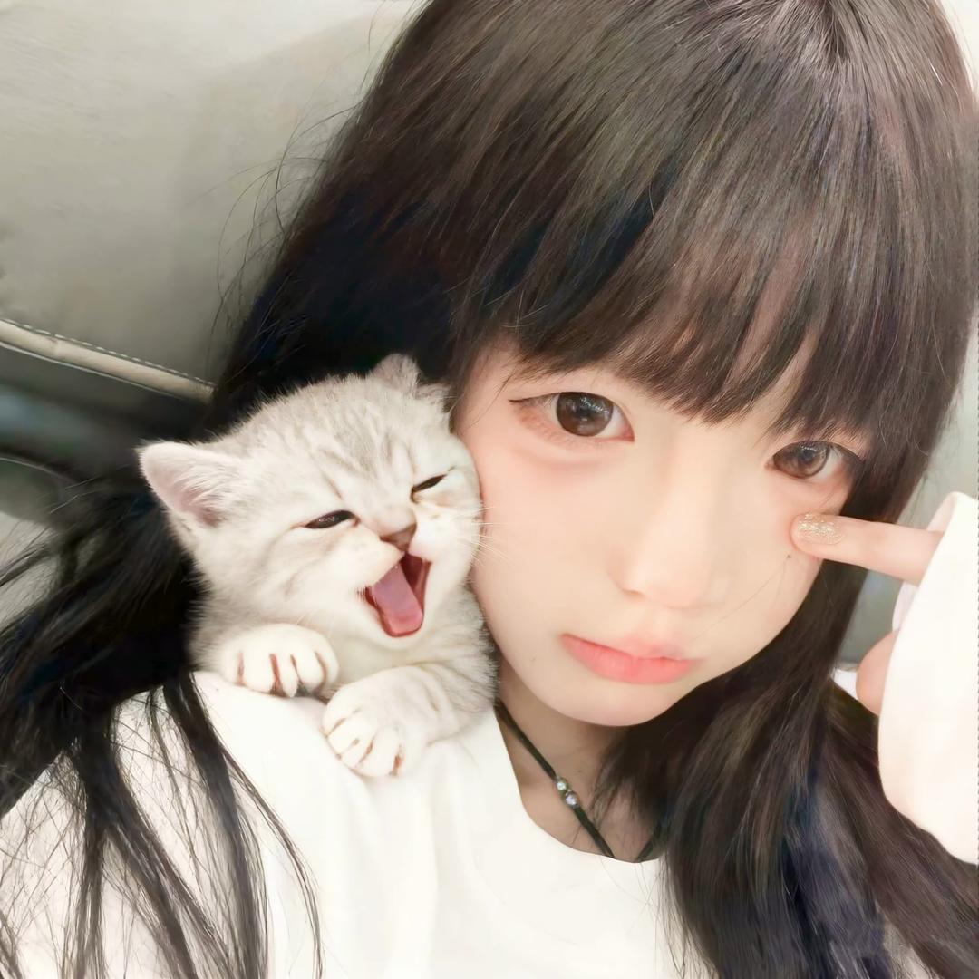 卷成一坨🐱