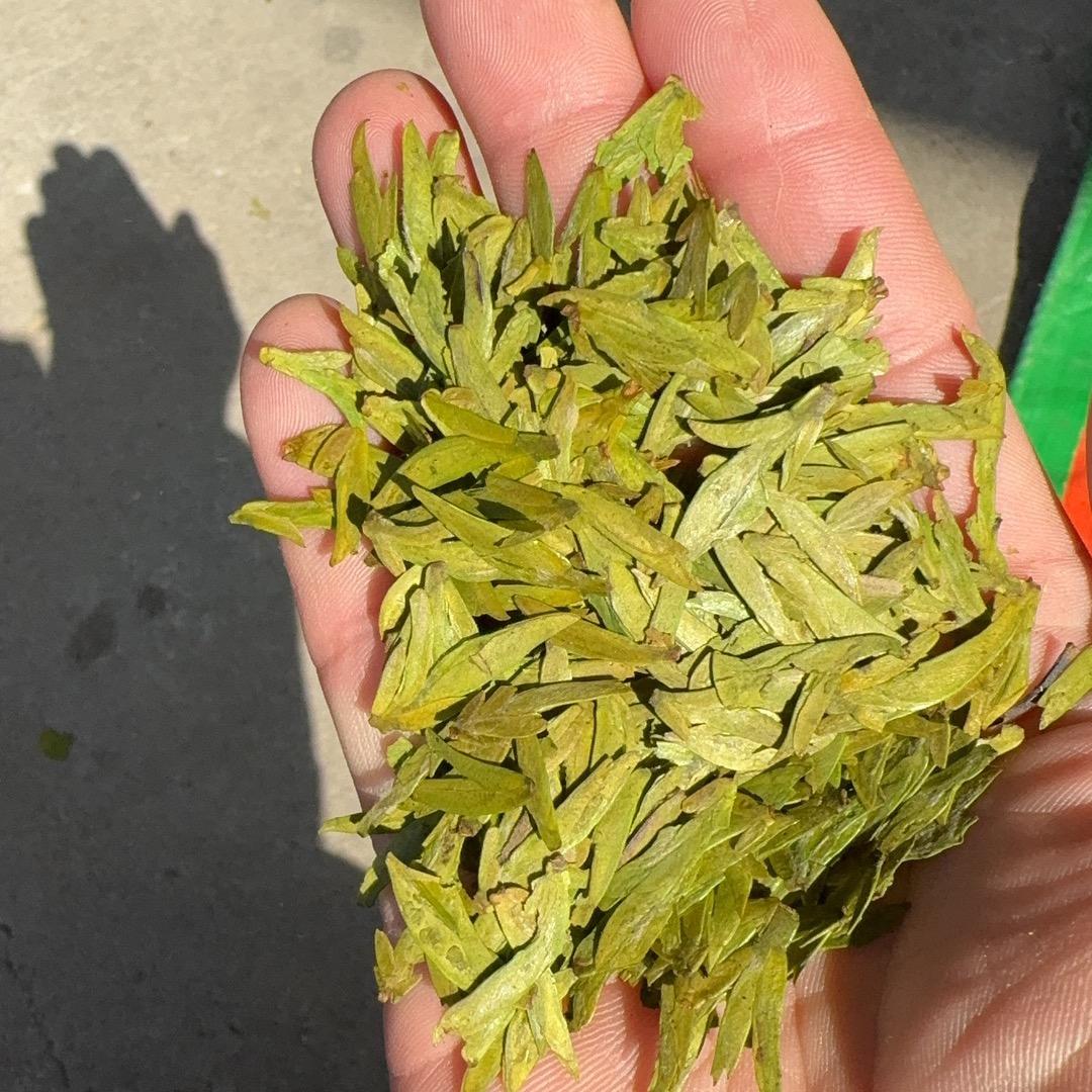 小姐妹的茶