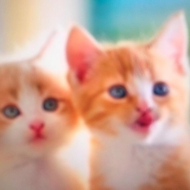 开心快乐三娃子