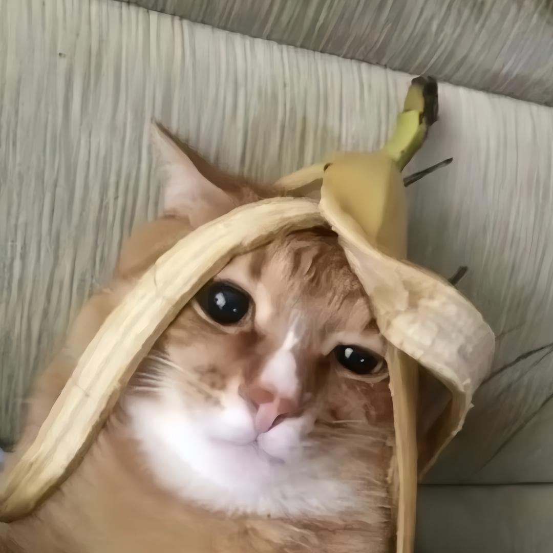 壹