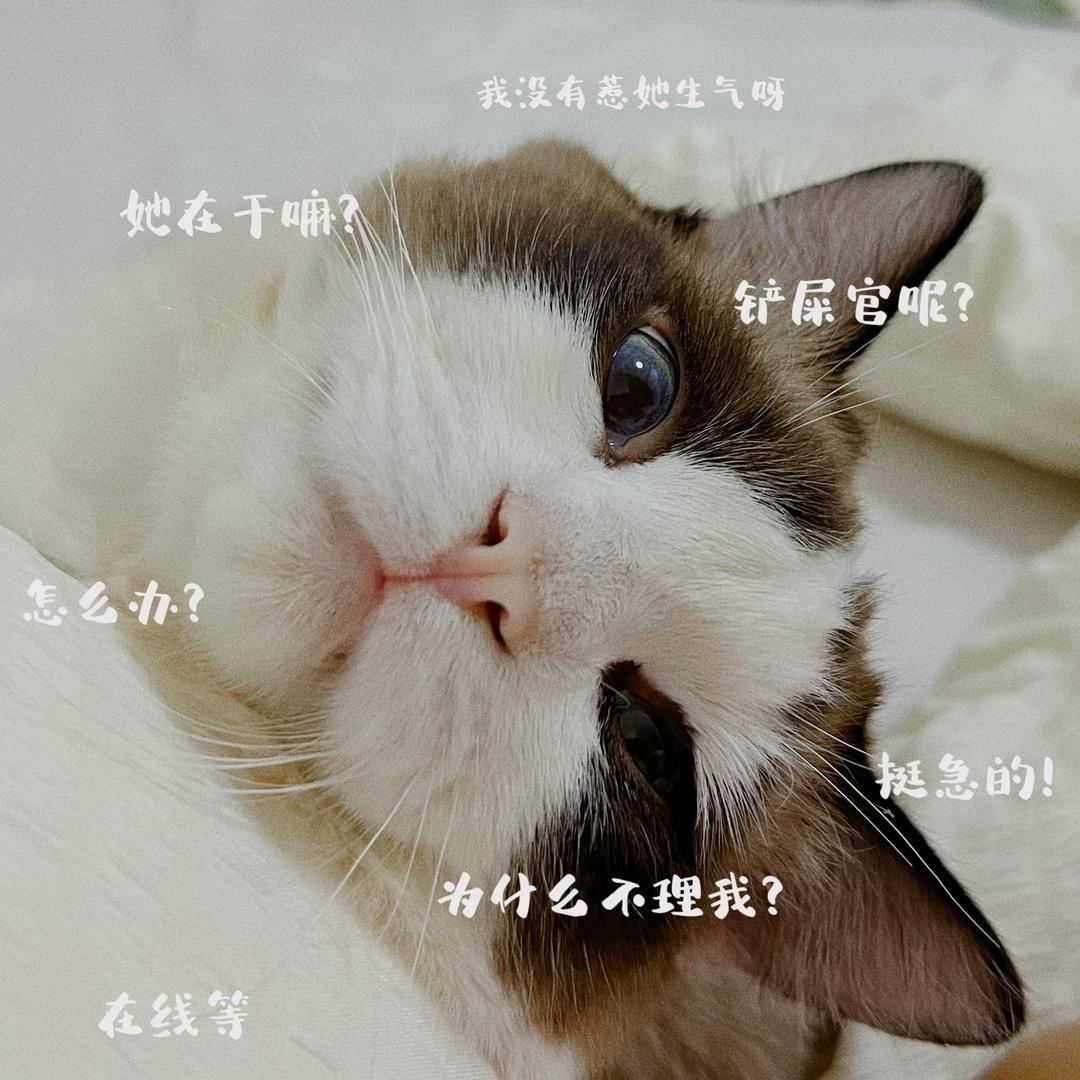 努力戒奶茶