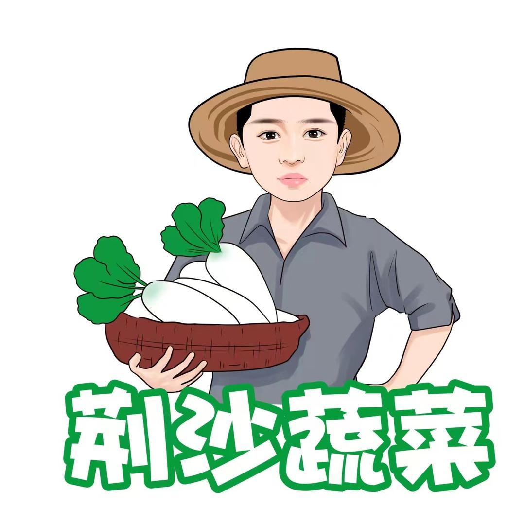 荆沙蔬菜合作社（刘虎）