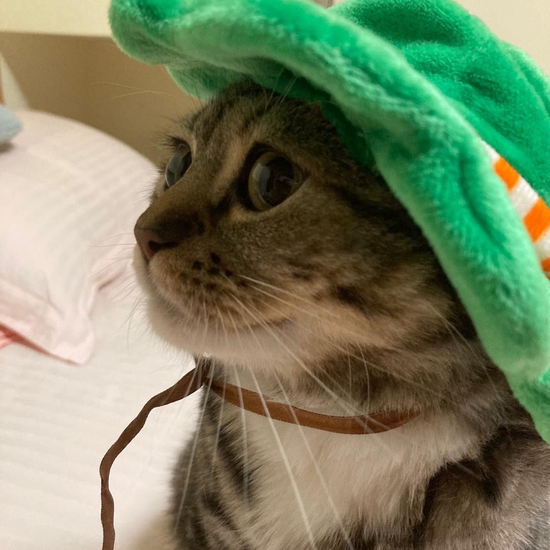 斧头