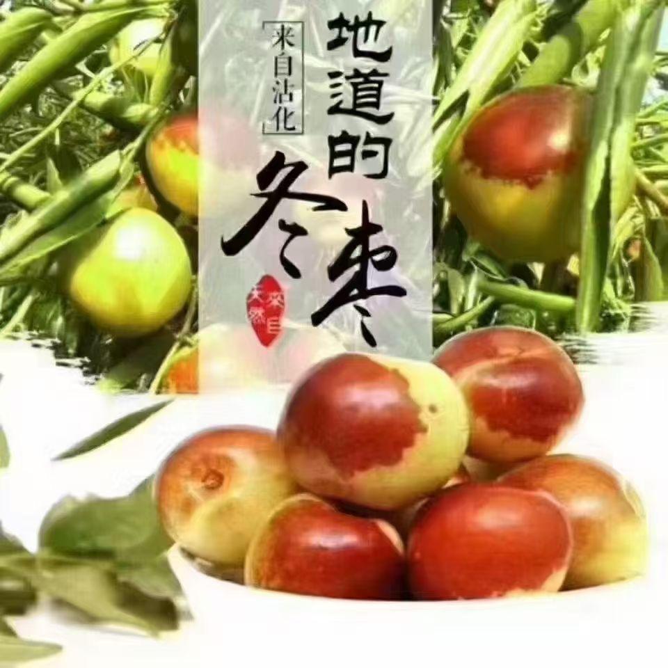 沾化大棚冬枣