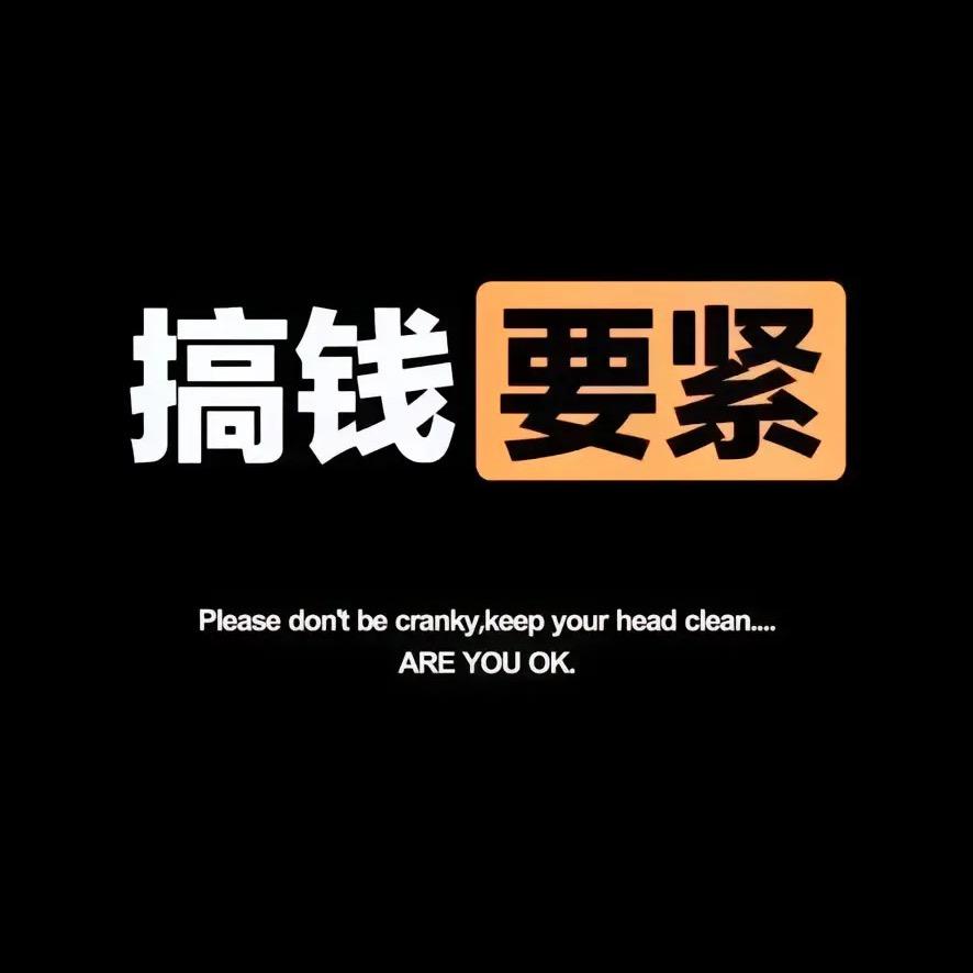 淄博·跑滴滴的小海豚🐬
