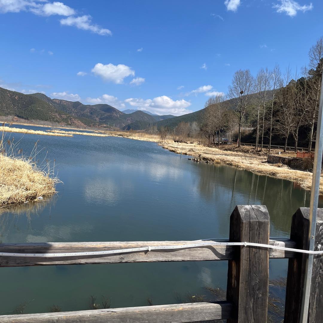 永不放弃