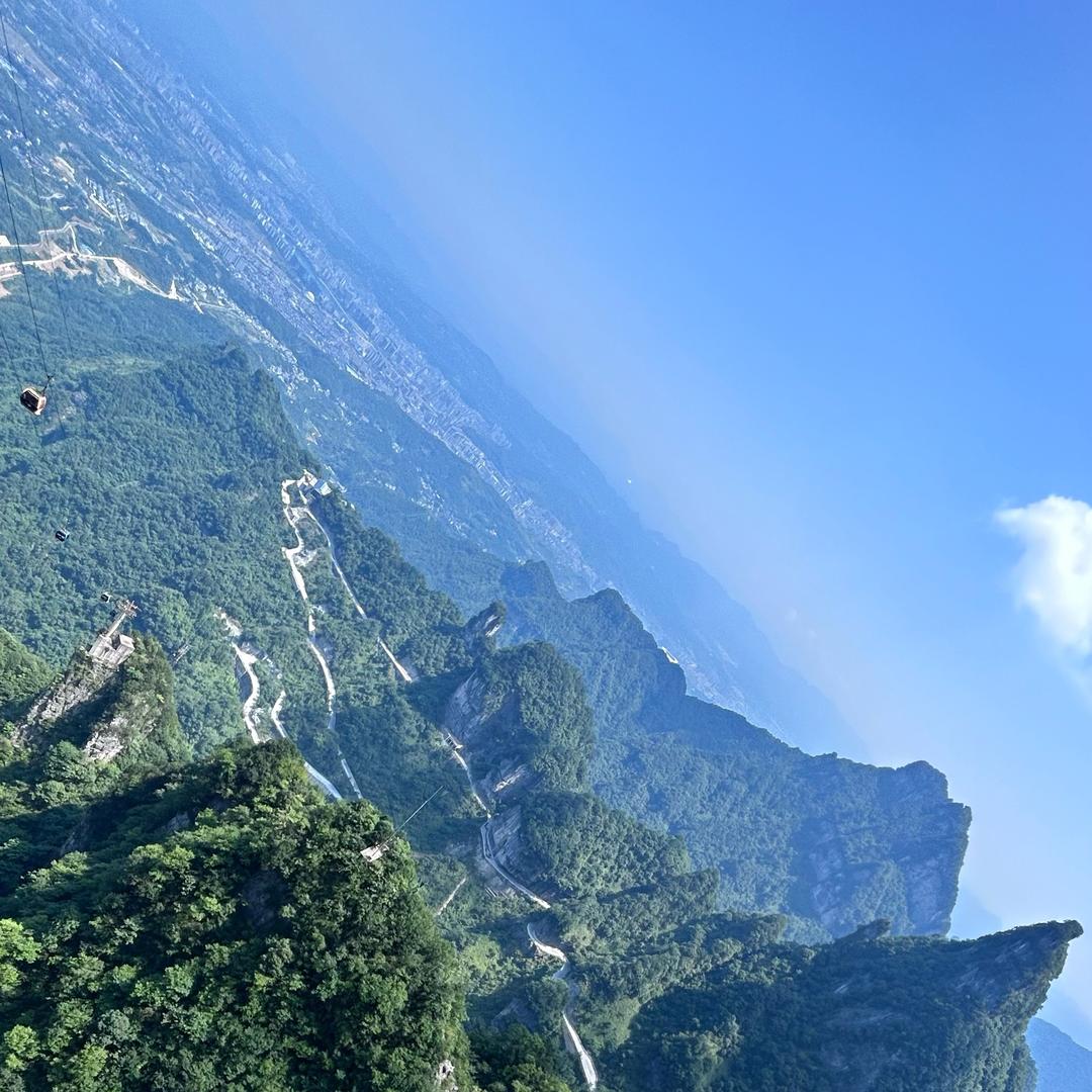 是高高吖