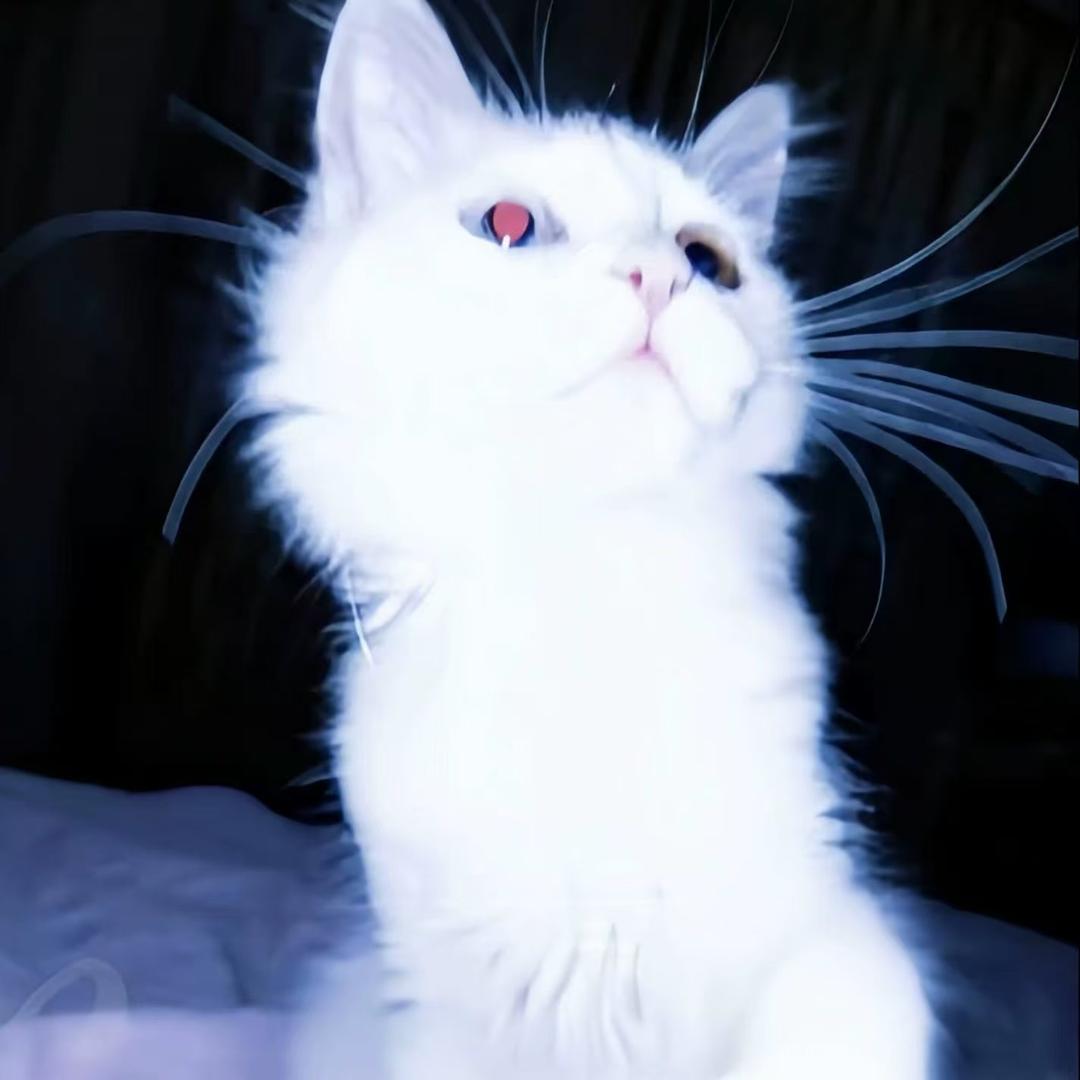 小a