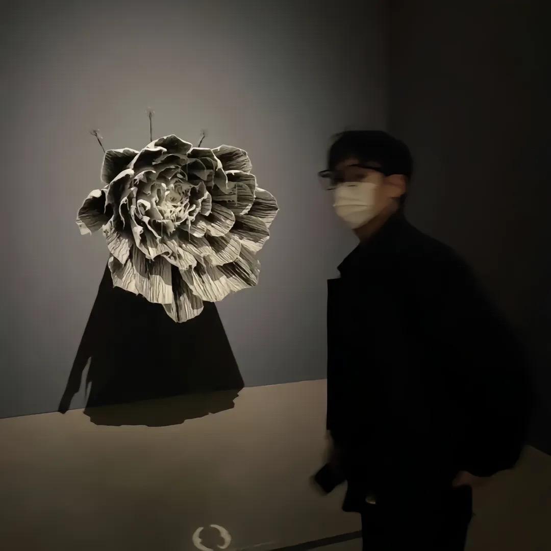 ㅤㅤㅤ绝情大蛤蟆