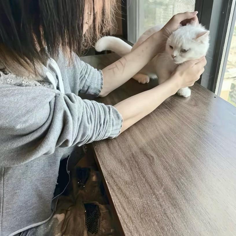 李钟意