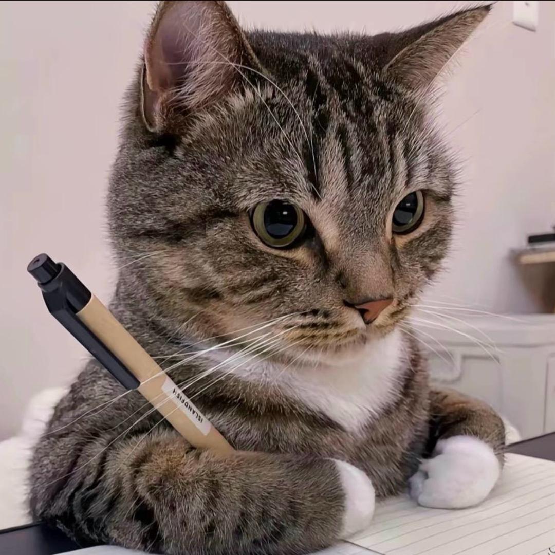 猫咪是我的