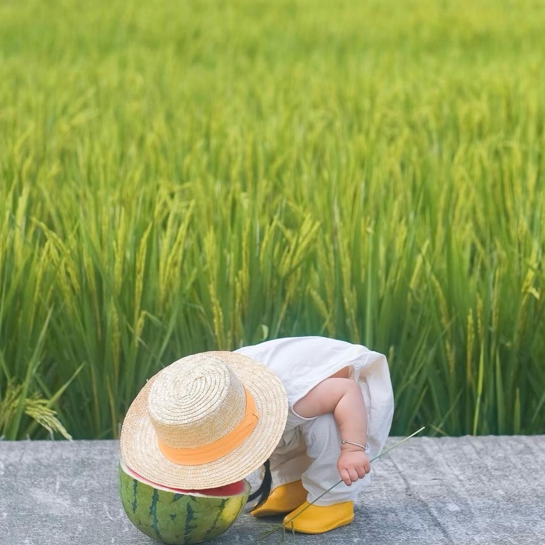 🍃小麦