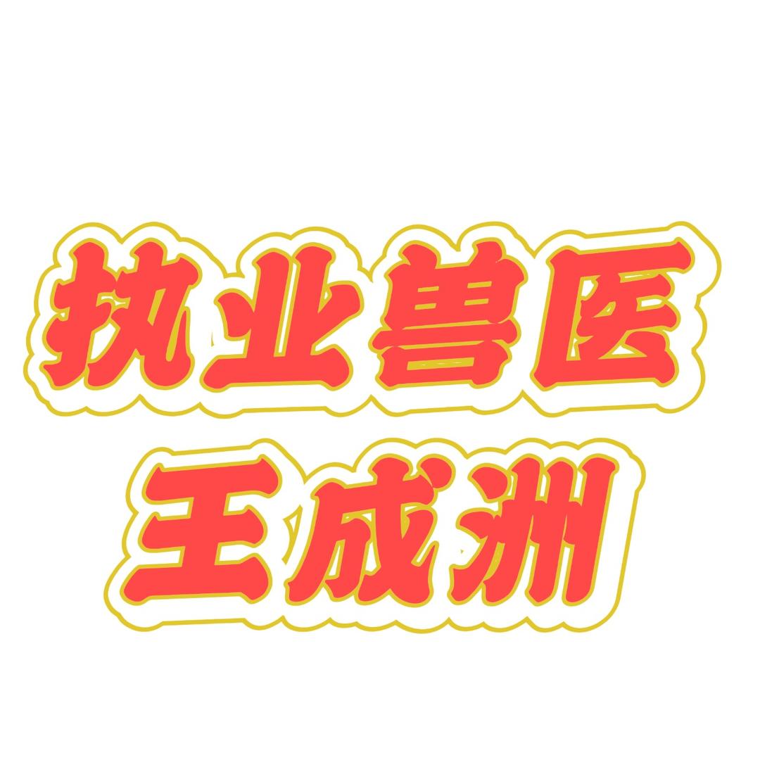 执业兽医王成洲