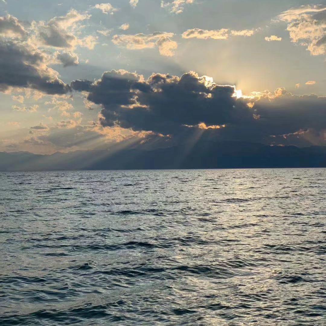 酒浓。