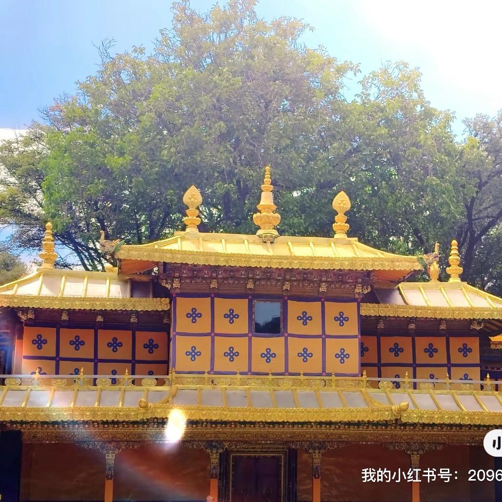 སྨིན་དྲུག་ ✨