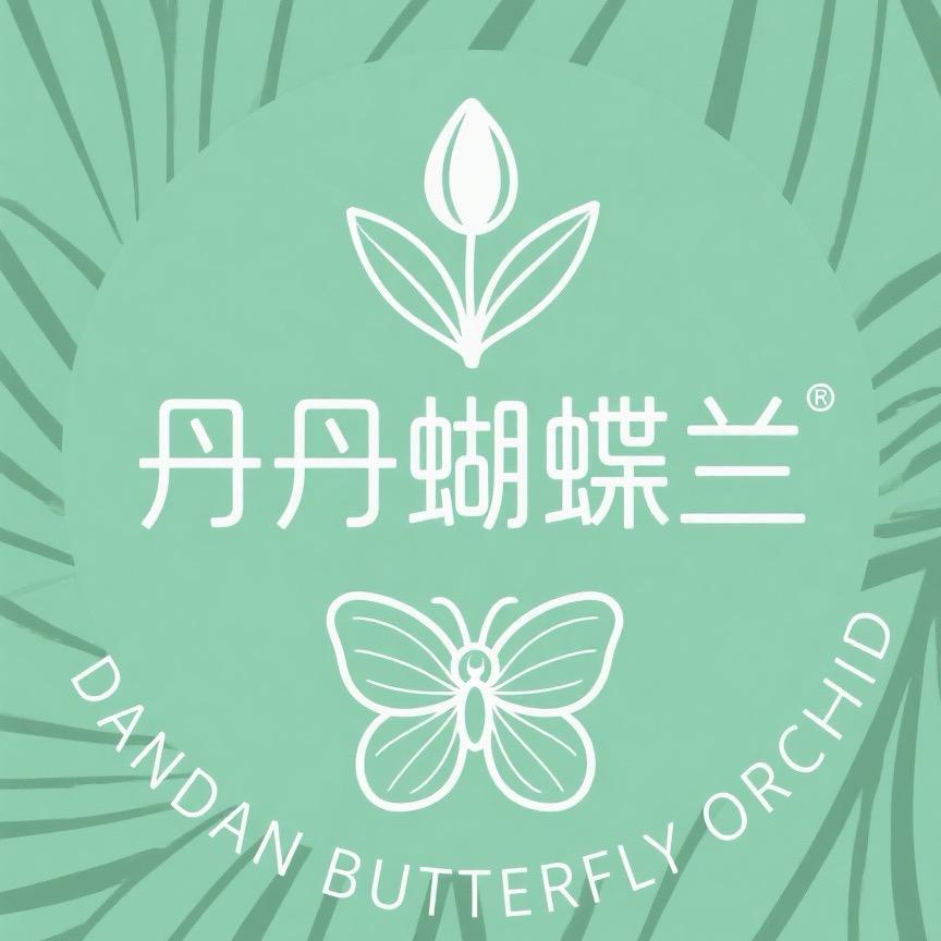 丹丹蝴蝶兰