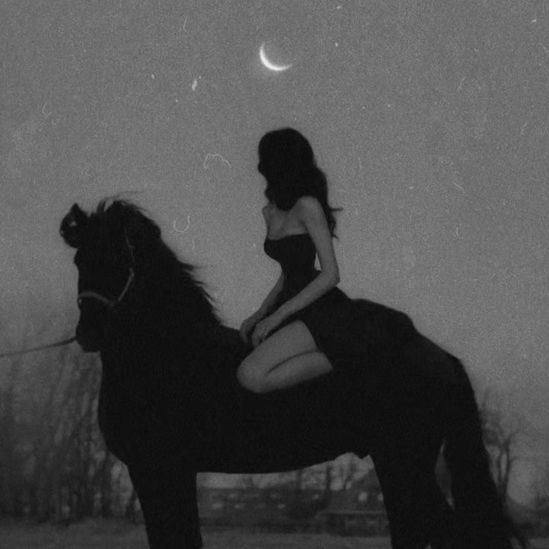 窝里哼宠物工作室❤︎