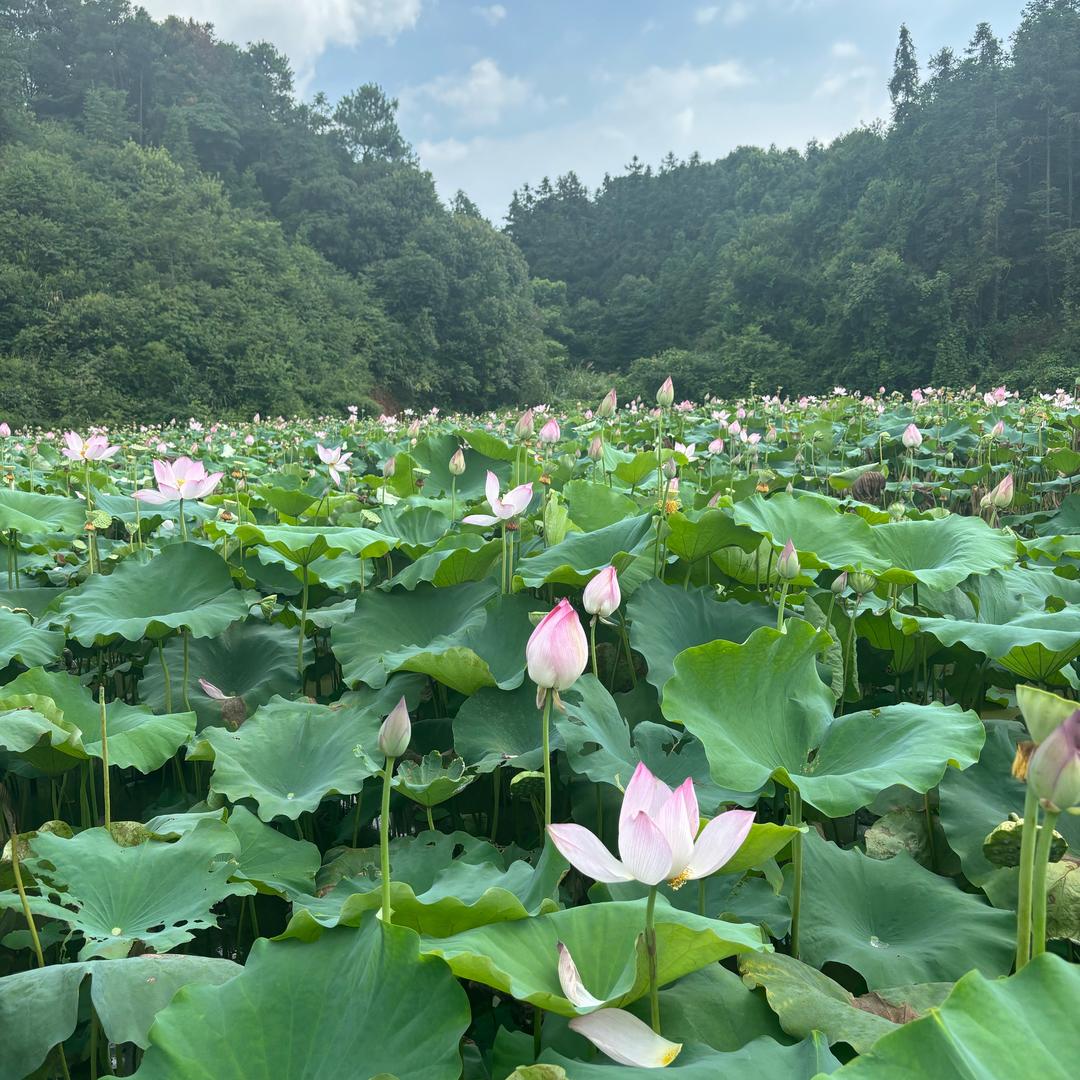 陆笙