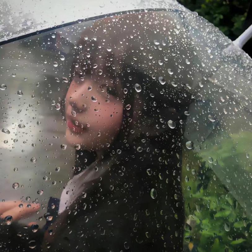 笨小鱼