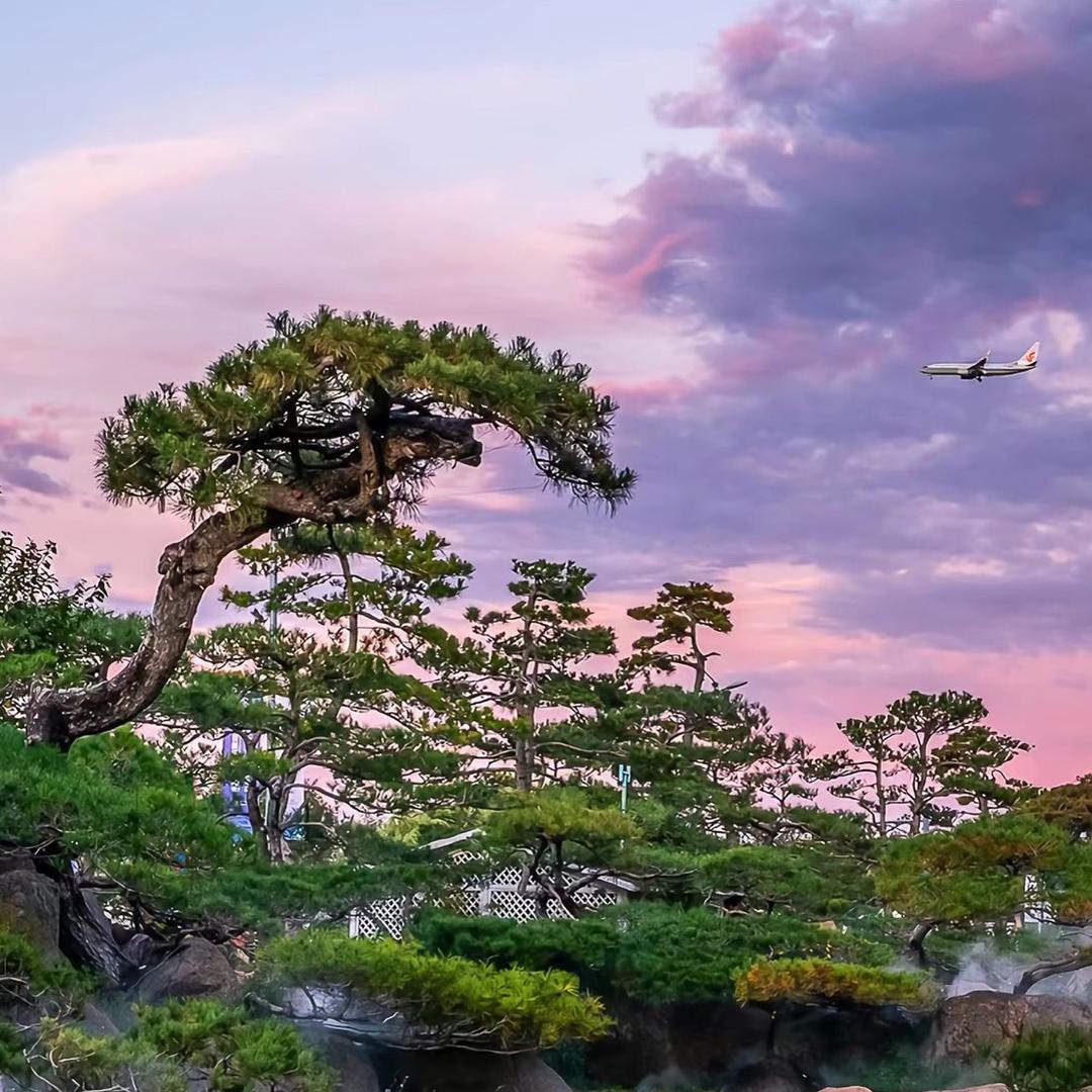 花哥