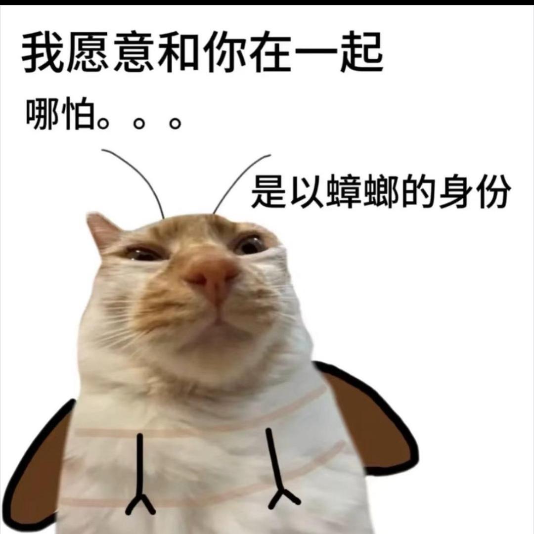 ANG