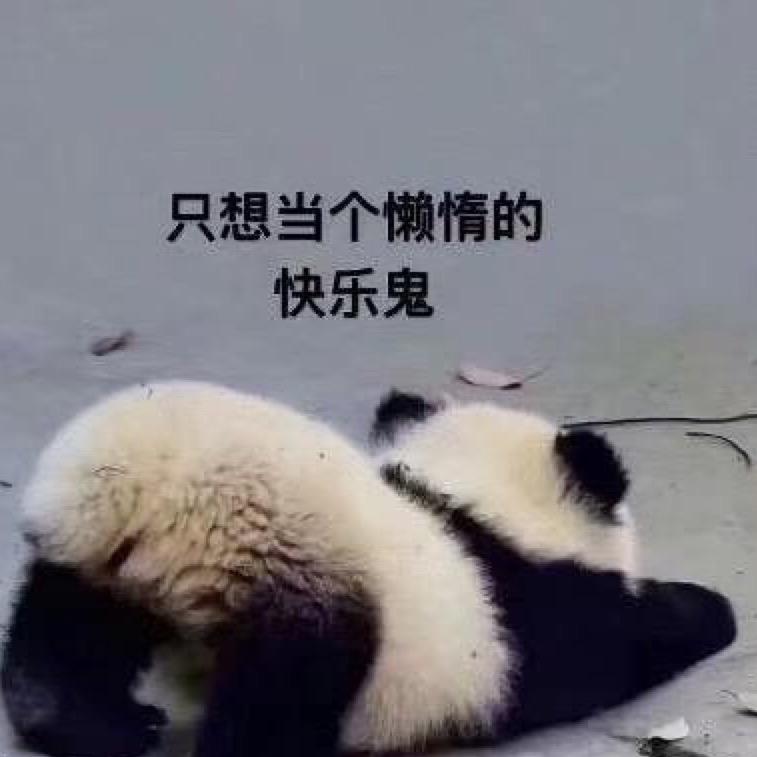 珍Ju呀